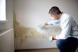 Mold Remediation for Rental Properties